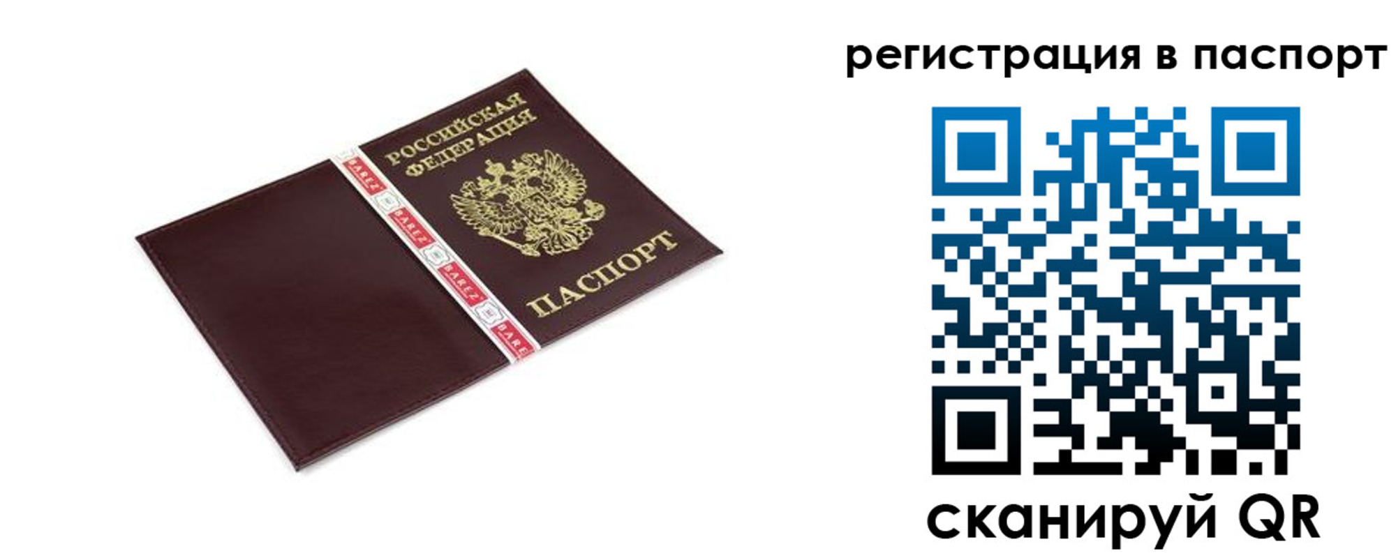 пропишу в квартире в Каменск-Шахтинском